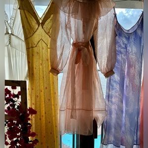 Vintage pink 1950s sheer organza dress